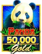 วิธีเล่น sloty casino แบบเจาะลึกและสนุกสุดๆ